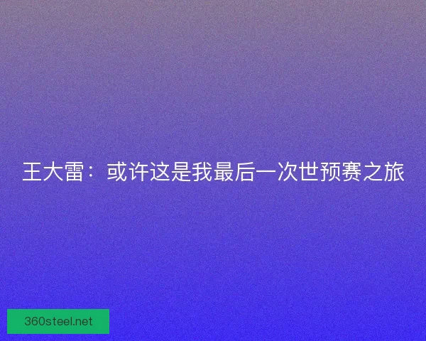 王大雷：或许这是我最后一次世预赛之旅