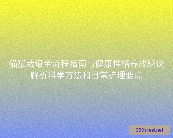 猫猫栽培全流程指南与健康性格养成秘诀解析科学方法和日常护理要点 猫猫栽培全流程指南与健康性格养成秘诀解析科学方法和日常护理要点